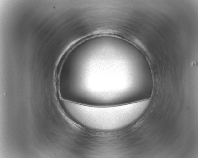 X0000066541124200603171048