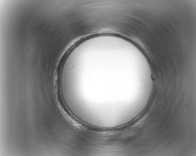 X0000066541126200603171048