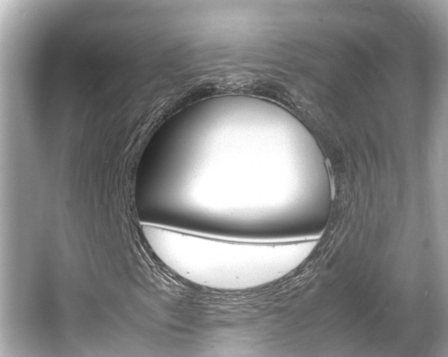 X0000066541153200603171048