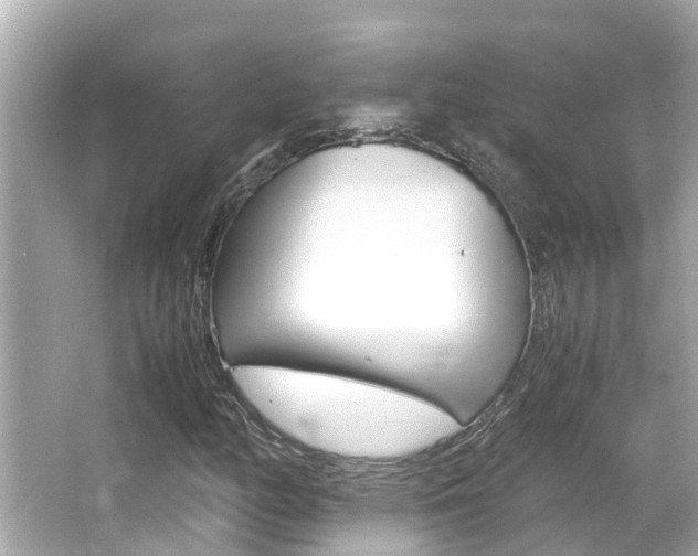 X0000066541158200603171048