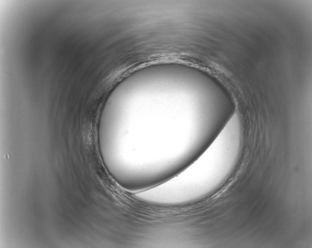 X0000066541161200603171048