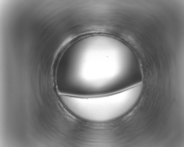 X0000066541172200603171047