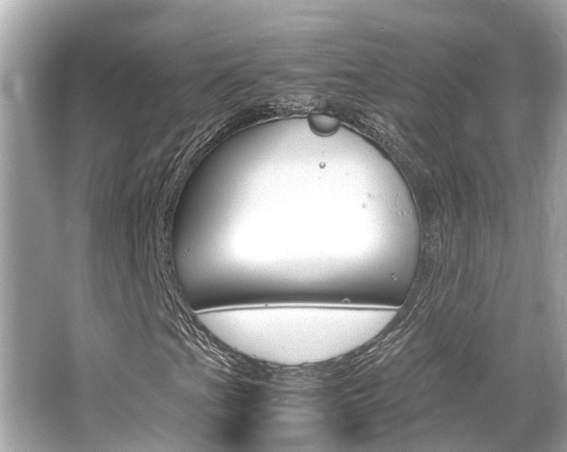 X0000066541201200603171046
