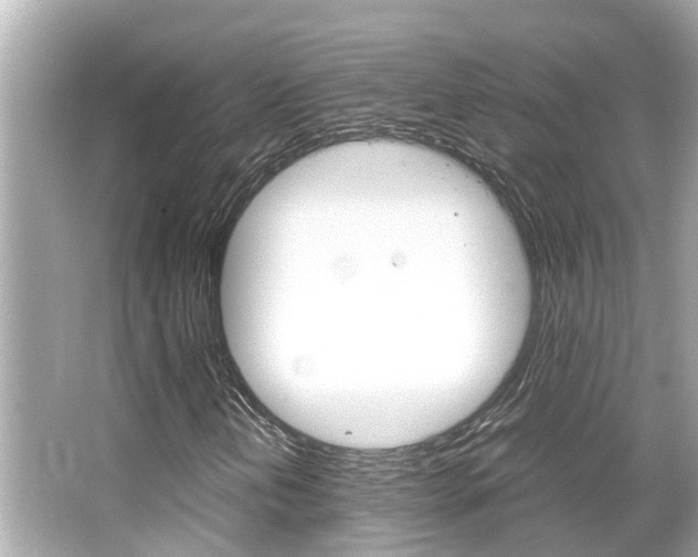 X0000066541202200603171046