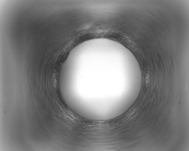 X0000066541204200603171046