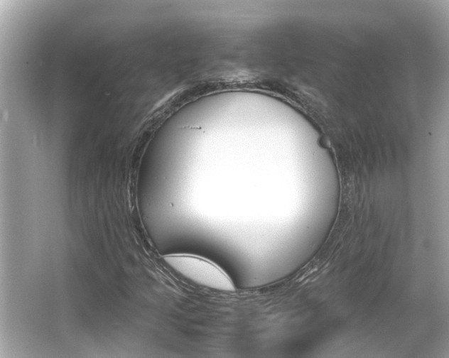 X0000066541205200603171046