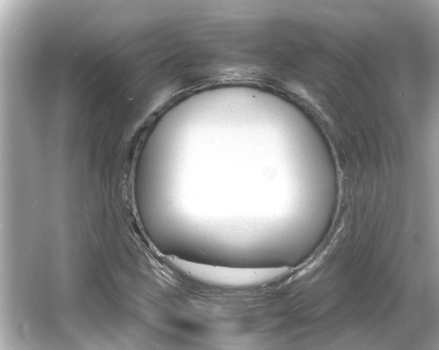 X0000066541211200603171046