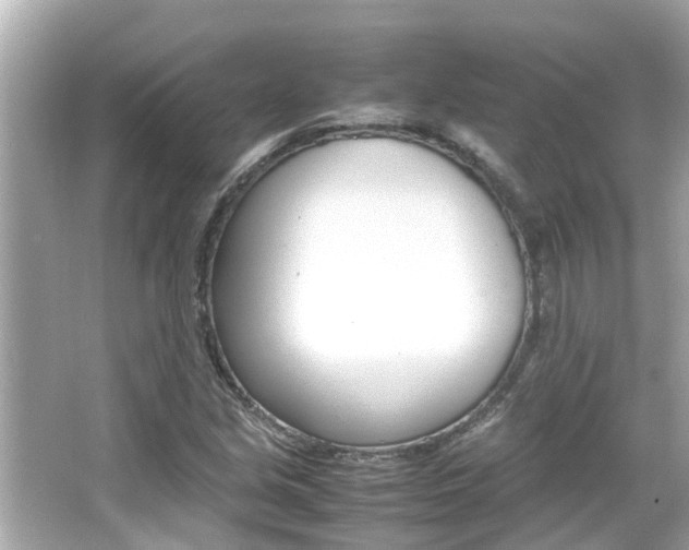 X0000066541213200603171046