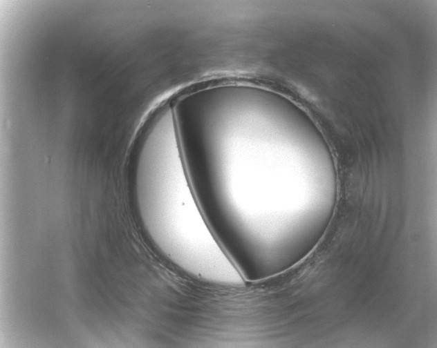 X0000066541214200603171046