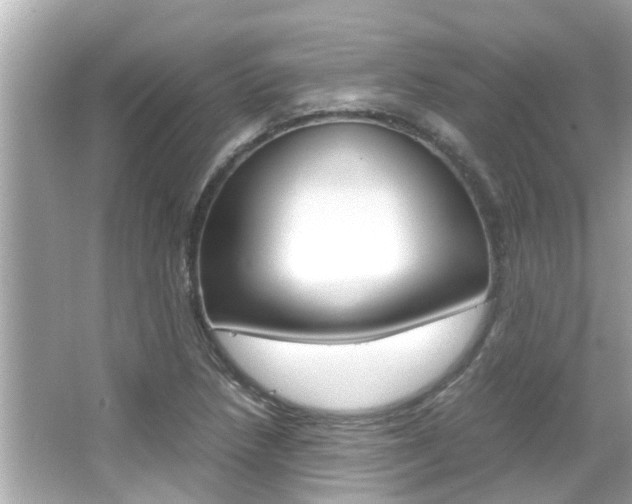 X0000066541218200603171046