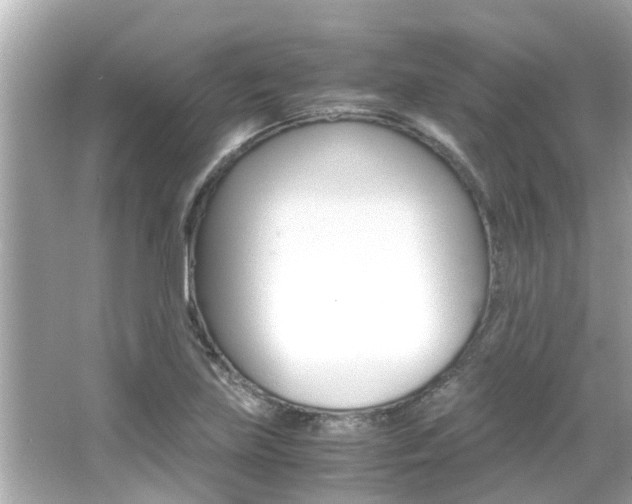 X0000066541219200603171046
