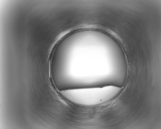 X0000066541223200603171046