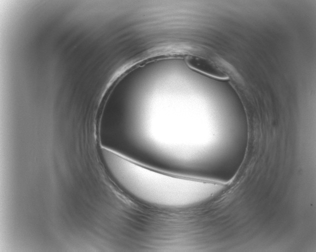 X0000066541226200603171046