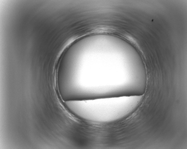 X0000066541227200603171046