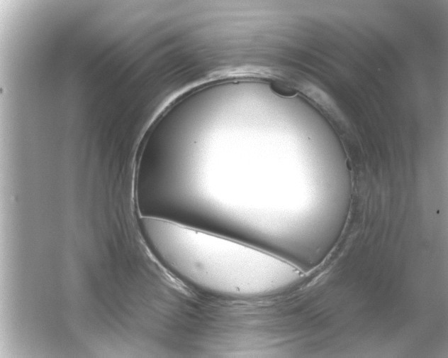X0000066541228200603171046