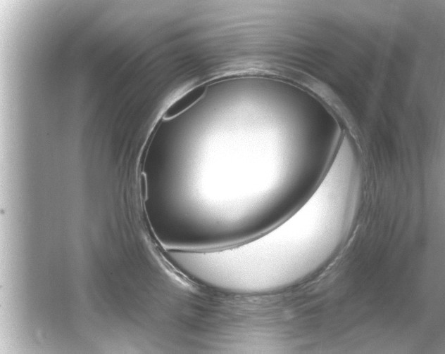 X0000066541242200603171047