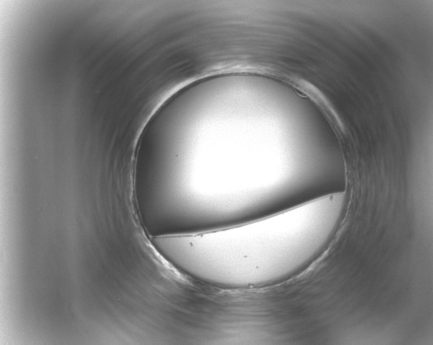 X0000066541244200603171047