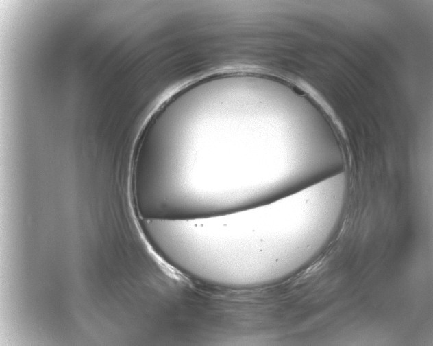 X0000066541245200603171047
