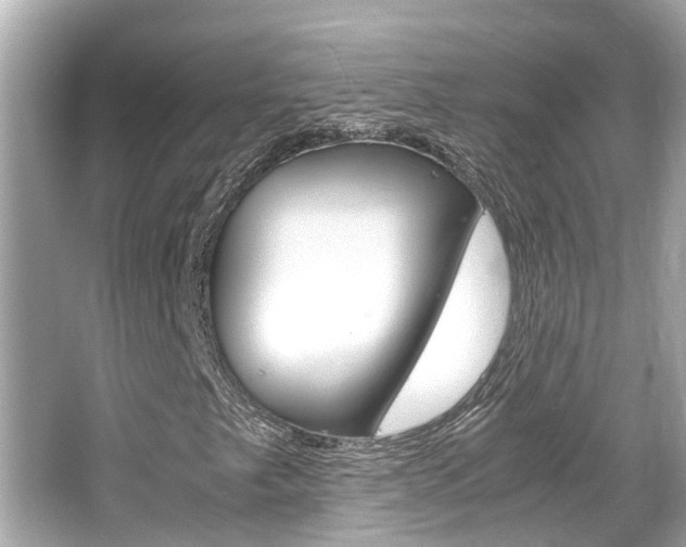 X0000066541249200603171046