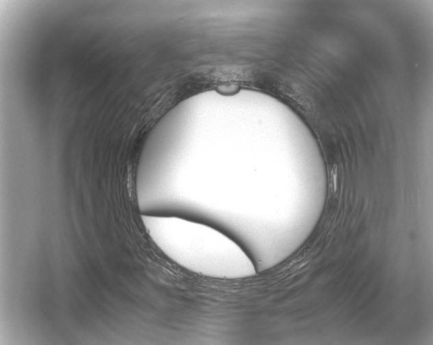 X0000066541251200603171046
