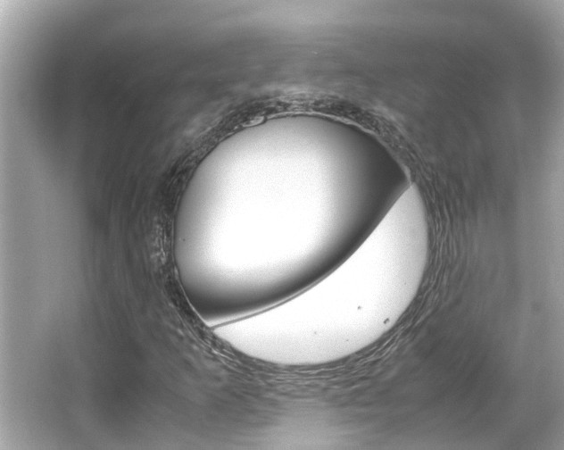 X0000066541253200603171046