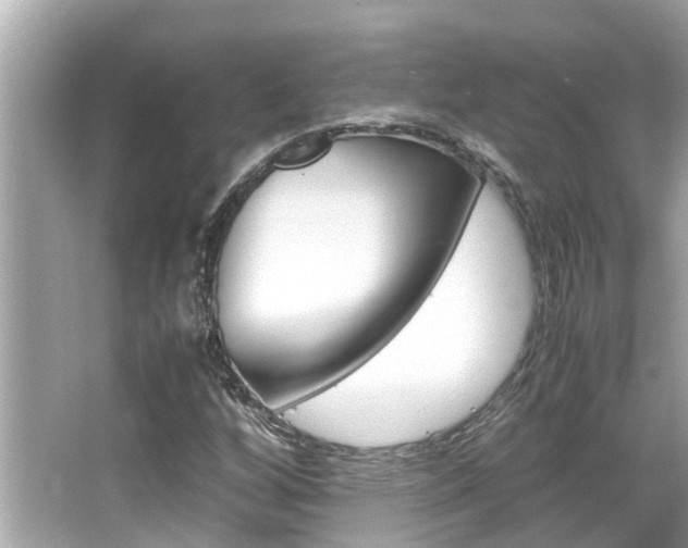 X0000066541256200603171046