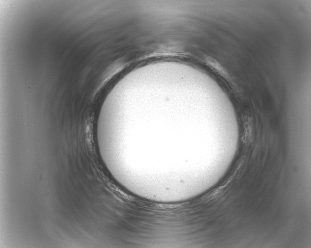 X0000066541258200603171046