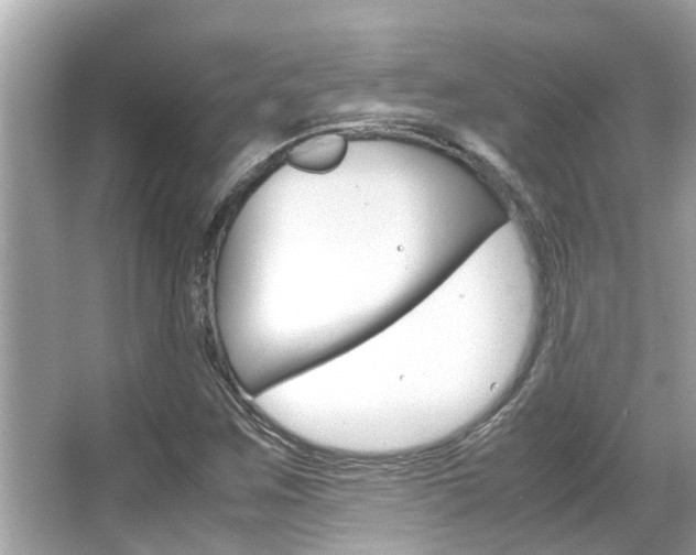 X0000066541259200603171046