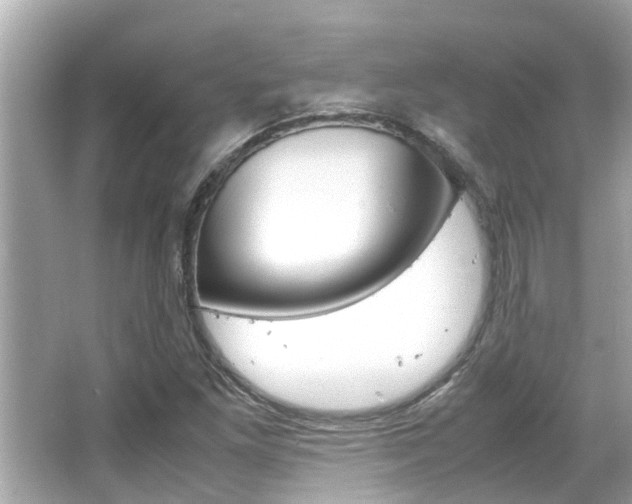 X0000066541261200603171046