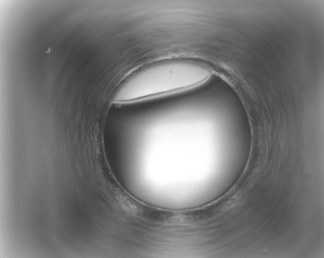 X0000066541265200603171046