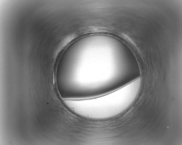 X0000066541269200603171046