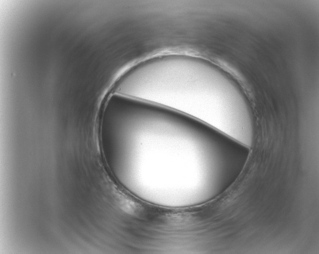 X0000066541272200603171046