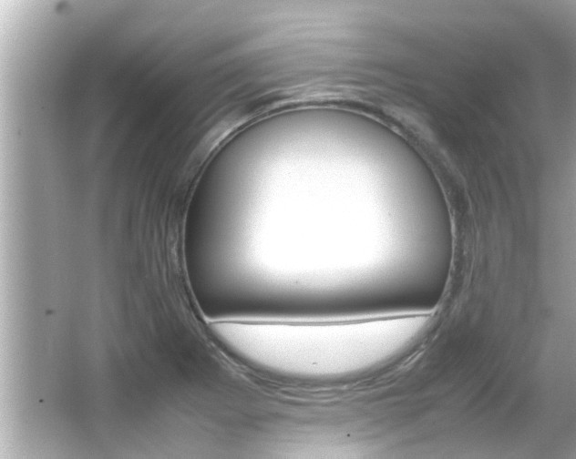 X0000066541273200603171046