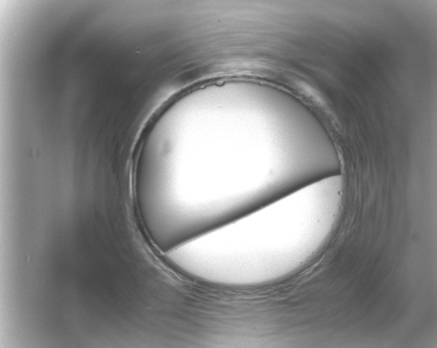 X0000066541275200603171046