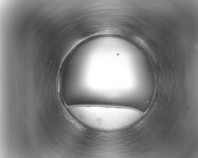 X0000066541276200603171046