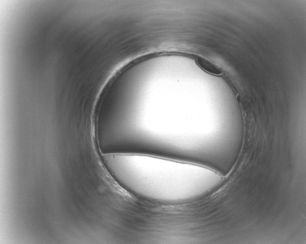 X0000066541280200603171046