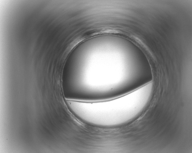 X0000066541281200603171045