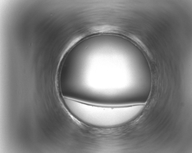 X0000066541285200603171045