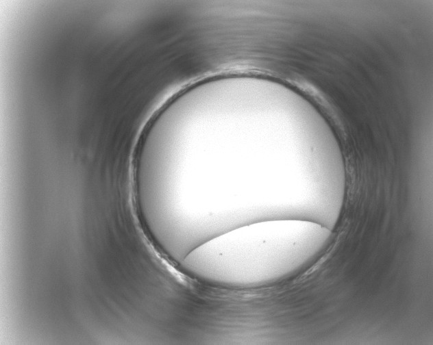 X0000066541286200603171045