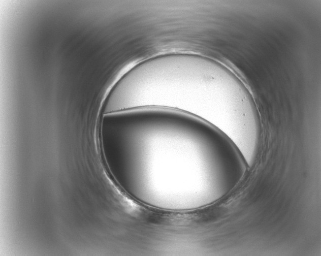 X0000066541293200603171045