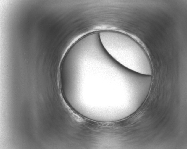 X0000066541295200603171045