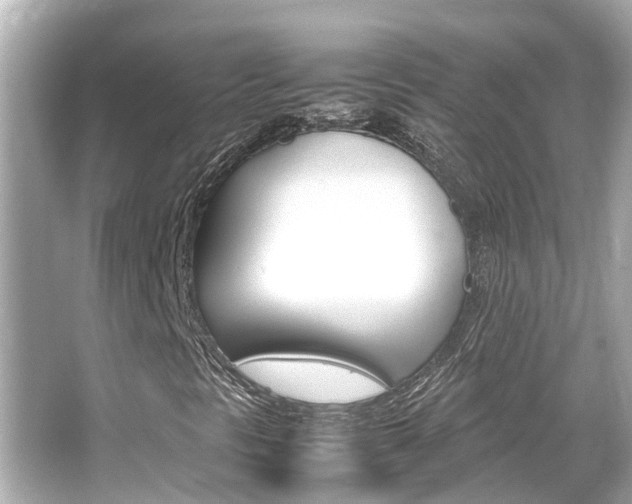 X0000066541297200603171044