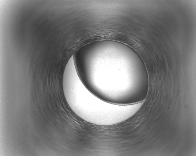 X0000066541298200603171044