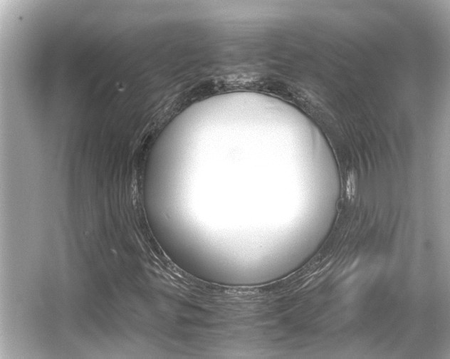 X0000066541299200603171044