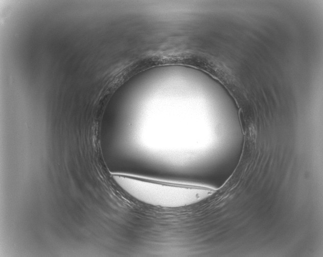 X0000066541300200603171044