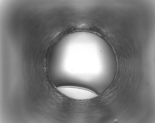 X0000066541301200603171044
