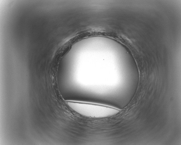 X0000066541303200603171045