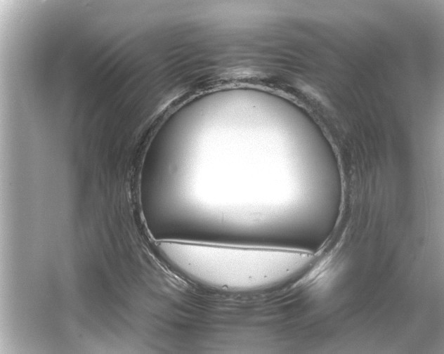 X0000066541305200603171045