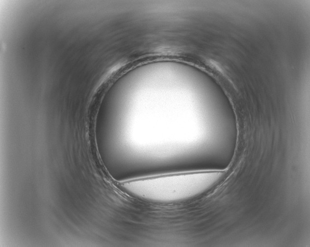X0000066541307200603171045