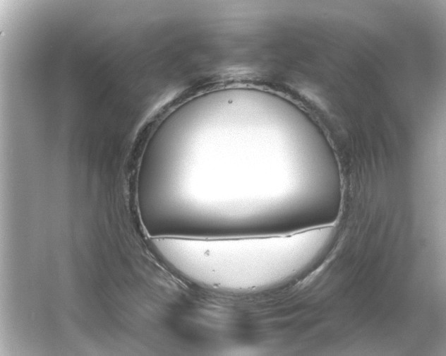 X0000066541309200603171045